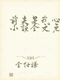 前夫是我心头恨小说全文免费阅读