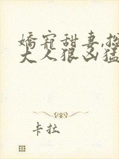 娇宠甜妻,总裁大人狠凶猛