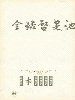 金鳞启是池中物封面