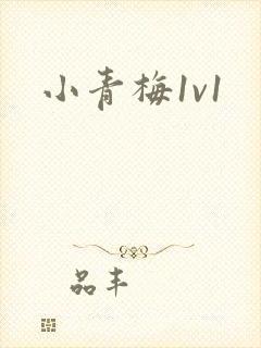 小青梅1v1
