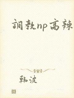 调教np高辣文