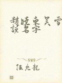 赵晓东吴雪晴小说名字