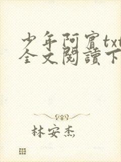 少年阿宾txt全文阅读下载
