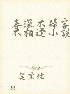 春深不归客清梦不相逢小说全文阅读