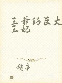 王爷的巨大进入王妃封面