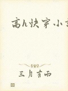 高h快穿小说封面
