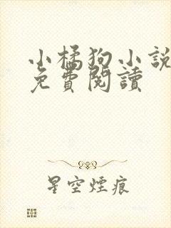 小橘狗小说全文免费阅读