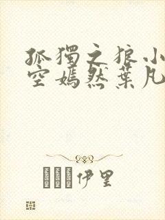 孤独之狼小说司空嫣然叶凡封面