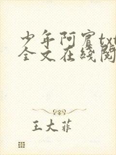 少年阿宾txt全文在线阅读封面