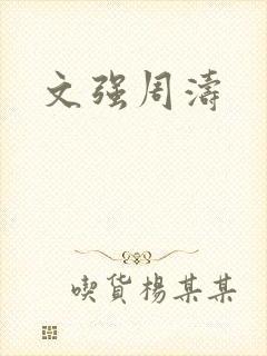 文强周涛封面