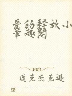 爱的释放小说 笔趣阁