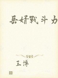 岳婿战斗力