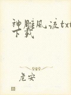 神雕风流txt下载