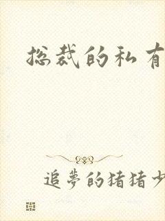 总裁的私有宝贝