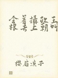 含着摄政王的紫根去上朝叫什么封面
