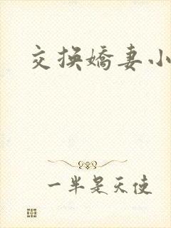 交换娇妻小说