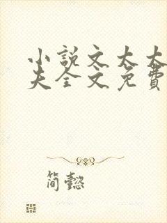 小说文太太的前夫全文免费阅读封面