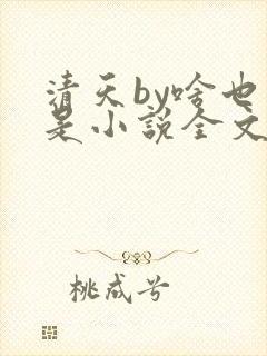 清天by啥也不是小说全文免费阅读