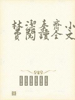 林洁秦齐小说免费阅读全文最新章节封面