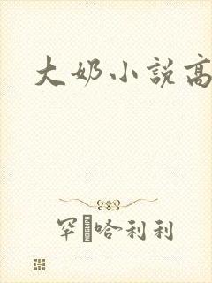 大奶小说高h封面