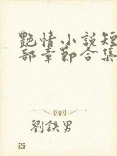 艳情小说短篇全部章节合集免费阅读