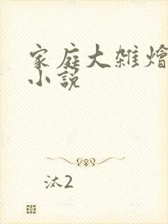 家庭大杂烩经典小说