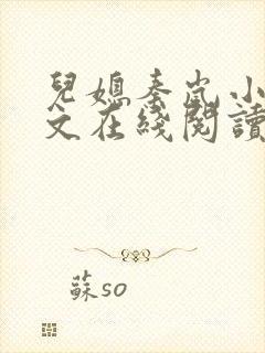 儿媳秦岚小说全文在线阅读无弹窗