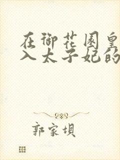 在御花园皇上进入太子妃的小说封面