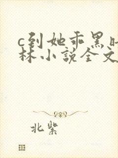 c到她乖黑暗森林小说全文阅读