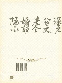 隐婚老公深夜来小说全文免费阅读