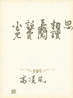 小说长相思原著免费阅读