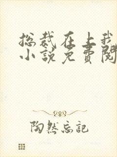 总裁在上我在下小说免费阅读
