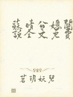苏晴公媳关系小说全文免费阅读