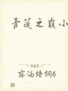 青莲之巅小说