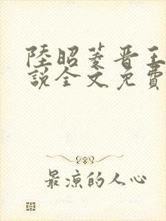 陆昭菱晋王的小说全文免费阅读