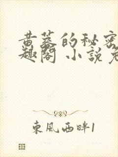 黄蓉的秘密 笔趣阁 小说免费阅读下载
