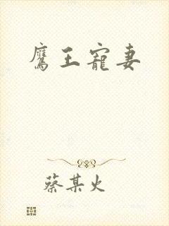 鹰王宠妻