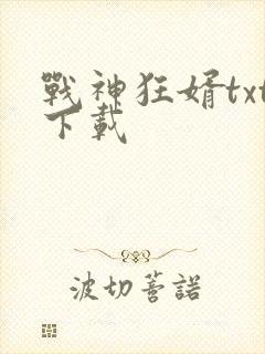战神狂婿txt下载