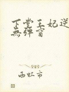 下堂王妃逆袭记无弹窗