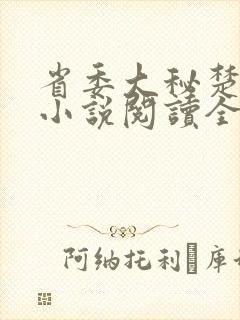 省委大秘楚东恒小说阅读全文