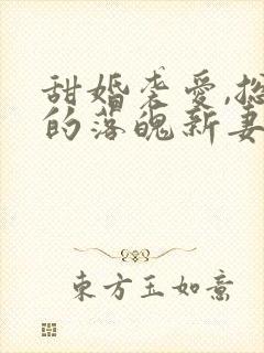 甜婚袭爱,总裁的落魄新妻小说免费阅读封面