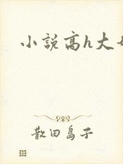 小说高h大奶