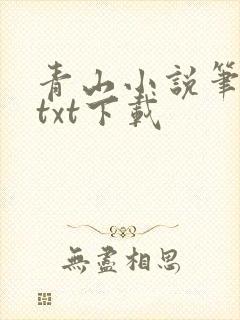 青山小说笔趣阁txt下载