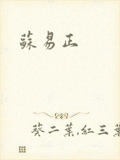 苏易正封面