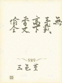 偷香高手无删减全文下载
