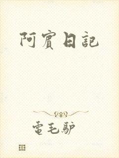 阿宾日记封面