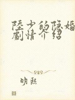 陆少的隐婚罪妻剧情介绍