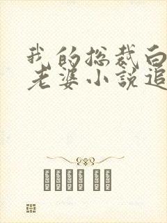 我的总裁白富美老婆小说追书