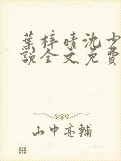 叶梓晴沈少廷小说全文免费阅读
