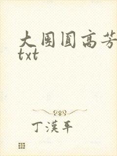 大团圆高芳小说txt